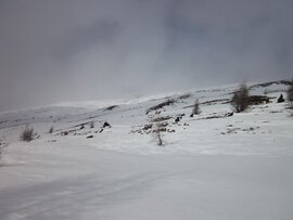 Ok, ok, viel Schnee war nicht Ok, ok, viel Schnee war nicht