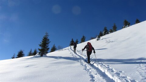 Noch haben wir eine Spur