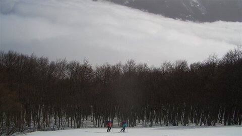 Oben schön Oben schön