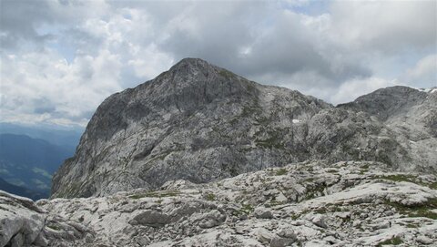 Wermutschneid von Norden