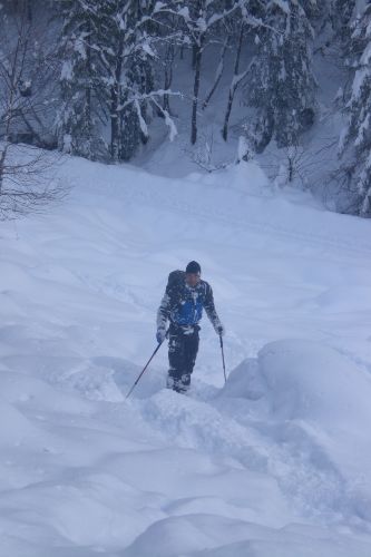 ... wieder aufgerappelt - wo ist mein Ski? ...