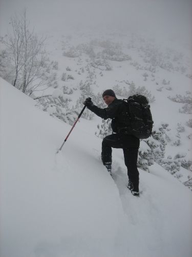 Sooo viel Pulverschnee - aber doch zuwenig für die Latschen